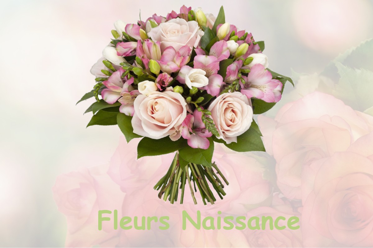 fleurs naissance SAINT-MARC-SUR-SEINE